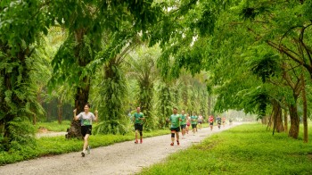 Dàn elite và gần 4000 vận động viên đổ bộ Ecopark Marathon 2024